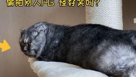 躺着吃瓜图片,揭秘网红“躺着吃瓜”新潮流