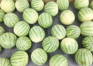 小小静吃瓜,揭秘娱乐圈那些不为人知的幕后故事