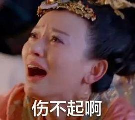 山东卫视吃瓜,一网打尽娱乐圈热点事件