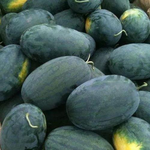 武汉海伦司吃瓜,一场校园风波的发酵与反思