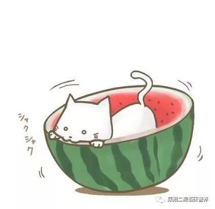 小漩嘟嘟吃瓜,揭秘娱乐圈那些不为人知的幕后故事