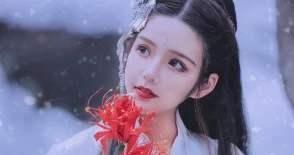 贵人吃瓜,跟随贵人吃瓜，洞察娱乐圈风云变幻